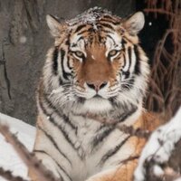 Paul (@pmanz62) 's Twitter Profile