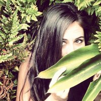 Stephanie Chavez (@stephchavez4) Twitter profile photo
