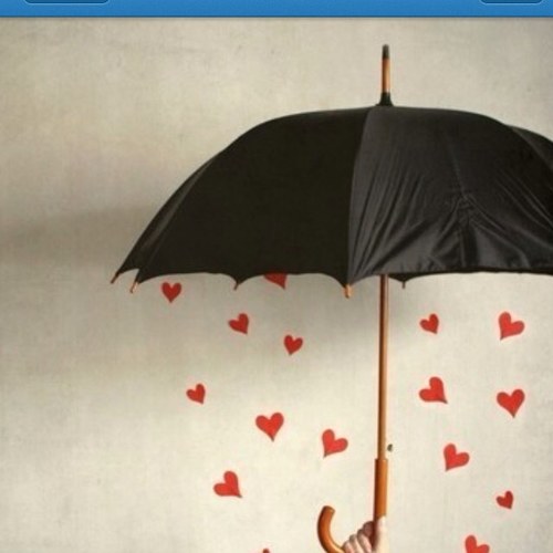 katykansasrose's profile picture. I'm just me, with a sprinkle of BPD. Trying to stay on the long and winding road to see the wizard, one day at a time.