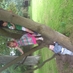 clare (@cmoc2011) Twitter profile photo