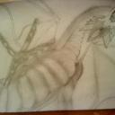 Douglas Rader - @BenAndrion - Twitter