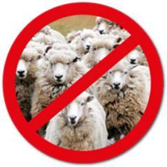 MH808080HM's profile picture. ‏خارج القطيع المستأنس