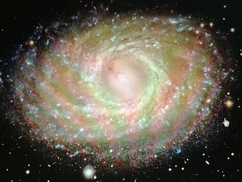 ivivi00's profile picture. 저와 함께 팔로우를!!!!