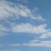 Louise Combes (@louisecombes) 's Twitter Profile Photo Louise Combes (@louisecombes) 's Twitter Profile Photo