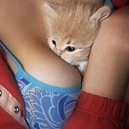I'm a Cat n love to post and RT EVERY & ALL kinds of kinky stuff, only thing YOU WONT find is #scat. ILL POST ANYTHING YOU SEND
Snap: Bayykatt  KIK: 1koolkat90
