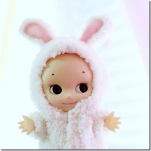 ブーメラン Profile