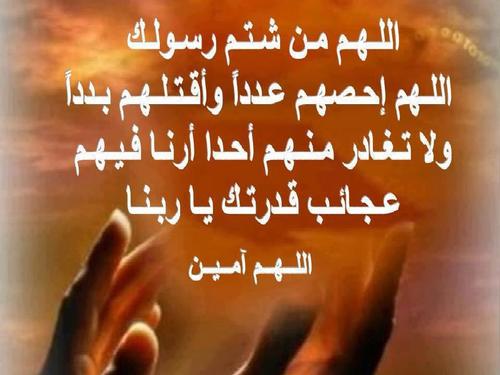 FathiaAlkelae's profile picture. كل شيء بعد رسول الله هين