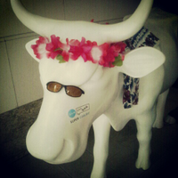 none (@supplem) 's Twitter Profile