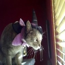 Lara Farley - @FarleycxjLara - Twitter