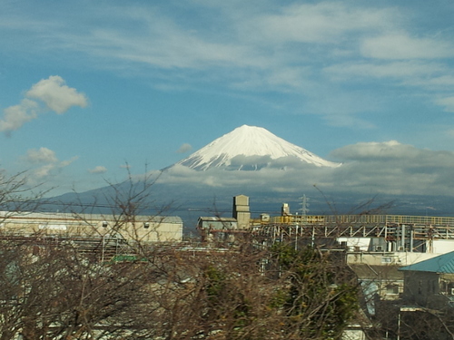 pantam320's profile picture. 中2です　　フォローお願いします