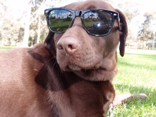 MrKelpy15's profile picture. 