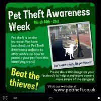 MissingPetForum (@missingpetforum) 's Twitter Profile
