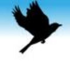 kino4423's profile picture. はじめまして