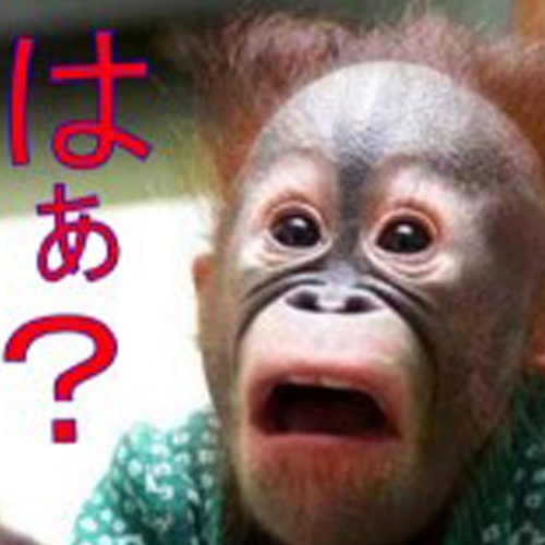 はぁ うーたんヽ O 3 ﾉ Y Syogouki カワイイ顔文字使ったからってダメダメ ヾﾉ