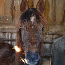 ellen_kindt's profile picture. 