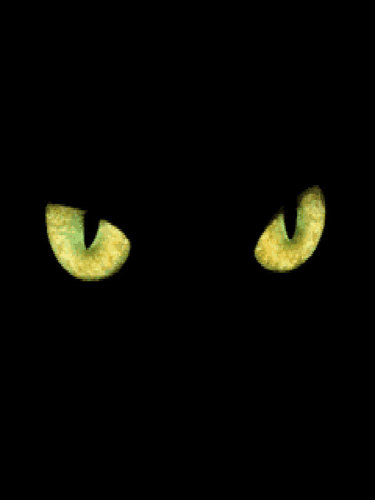 DarkAngel7373's profile picture. 