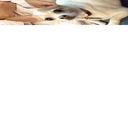 Sandra Coy - @CoySandrac42 - Twitter