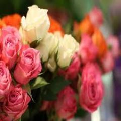 ♥)مدريُ وش آللي دآخليُ ب آلضبط ! لؤ كنت آدري مآ تخربُط كيآني .♥