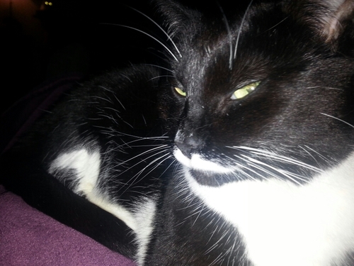 Meredith82P's profile picture. 