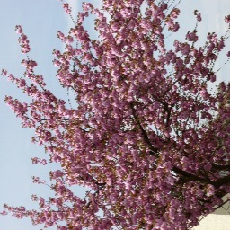 Gartenfreund, Tierliebhaber und Technik Fan.
Impressum: http://t.co/WNkeYY8fvD