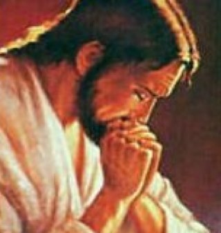 Am a practicing Roman Catholic.