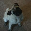 Ray Bachmann - @Bachbug - Twitter