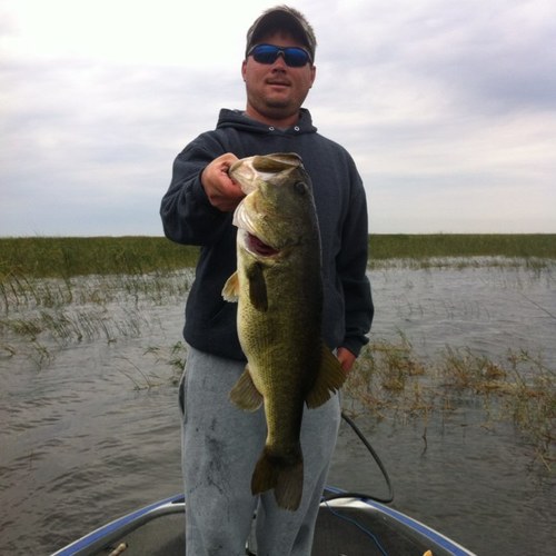 LostCreek1981's profile picture. 