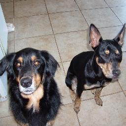 rocknrobin456's profile picture. Wife of 1 amazing man. Mom to 2 daughters & G'ma to 1 grdauty, 1 nephew-son. SURVIVOR!! of CLL w/a ph17 mutation, MDS, BMT, Battling GVHD & heart disease w/GOD.