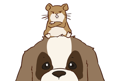 ハム蔵 Hamuzo Gnh Twitter