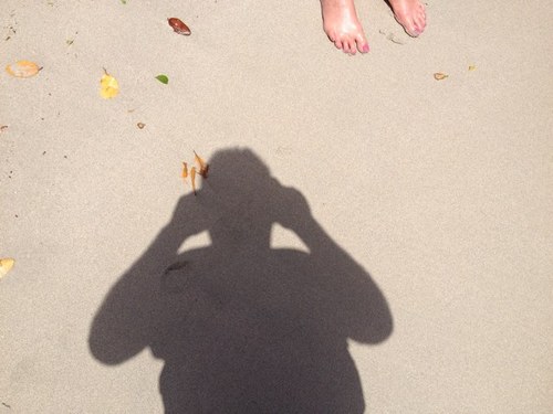 DonLuxton's profile picture. 