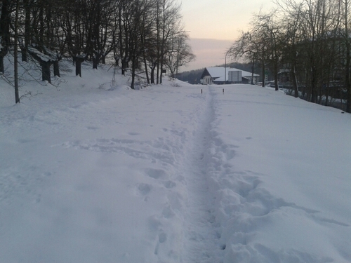 kepa_kepa's profile picture. 