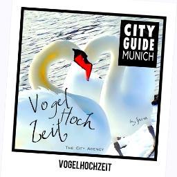 #VOGELHOCHZEIT #CITYGUIDEMUNICH #THECITYGUIDES Interessantes aus der Natur ... #THECITY