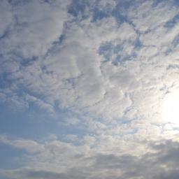 JorgeRuiz_JR's profile picture. 