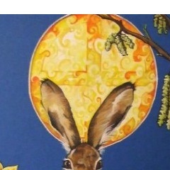 ZEPHYoRUS's profile picture. The one I am living.
Lamb's Tales and KatKins. Psychology Social Housing Charities Corruption