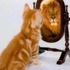 Infinityrus's profile picture. The most beautiful things in the world cannot be seen or even touched, but must be felt with the heart
Helen Keller - My favorite quote:) Always Keep Smiling:)