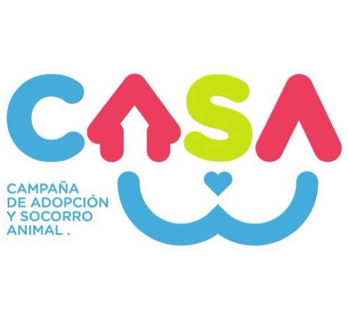 Adopcion de gatos y perros en Monterrey, N.L. y área metropolitana.