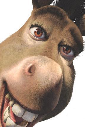 burrochucro's profile picture. 