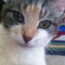 Danielle Richer - @richer_danielle - Twitter