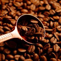 g_test2's profile picture. botと珈琲の勉強用に作成しました。が、どちらもほぼ０からの勉強なので、色々アレなんですが生暖かい目で見守ってやってください。 中の人→@yuge_3