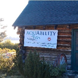 AquAbility, a non-profit corporation and Paralympic Sport Club, provides recreation and sport through swimming for people with physical and visual disabilities.