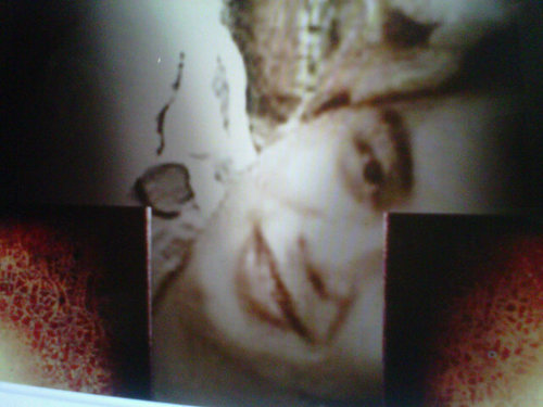 RizalBusrol's profile picture. Perubahan demi kebaikan