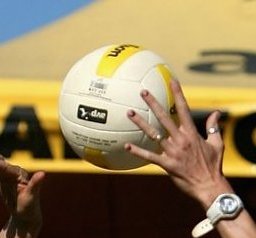 AVPvolleyball's profile picture. The Unofficial AVP Volleyball Fan site... Gossip and news from the beach volleyball world... dig this!