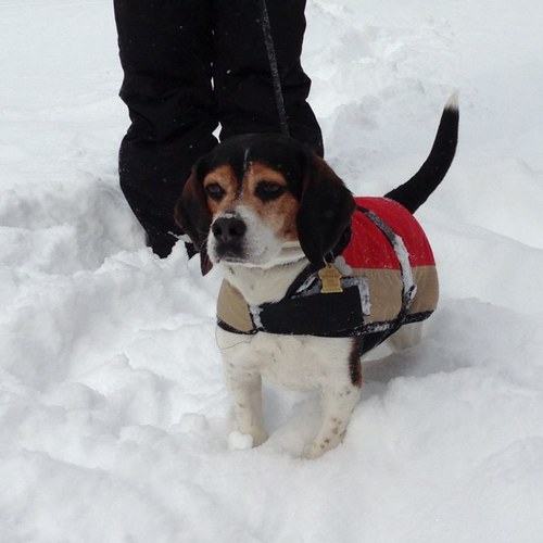 Kateickrathszal's profile picture. 