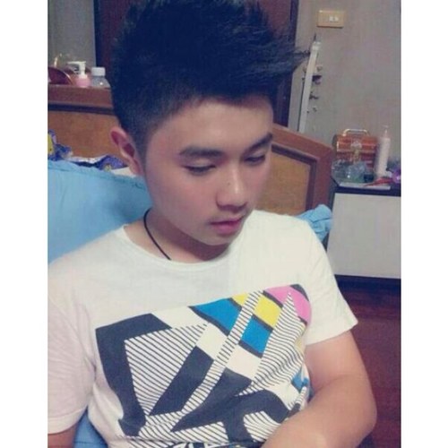 nut_armament's profile picture. 