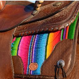 SoulShineHorse's profile picture. Hand loomed,dyed by the Mayan Indians using organic fruits & berries of their regions. These products help provide food, medical,education to these villages.