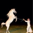 علي الشهري (@0560776651) Twitter