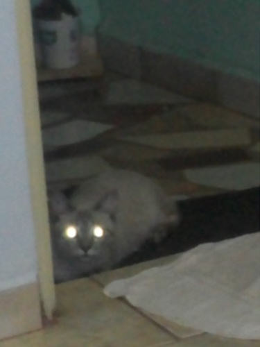 QuerCasaco_Migo's profile picture. Gosto de tudo intenso, não gosto de amar pela metade, viver pela metade... gosto de aventuras e de correr risco, quero viver cada dia como se fosse o último...