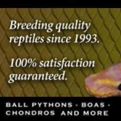 Since 1993, I have been offering quality reptiles and consistently doing the right thing. http://t.co/9OHuhRXb0u 715.845.5545  
Garrick DeMeyer
