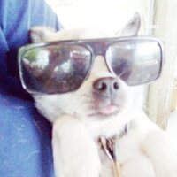 Steve Baxley (@lugnuts6) 's Twitter Profile