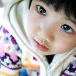 Fujoshi, Mvp, Shawol, 3 Comida, 3 K-pop, 3 K-idols, 3 Japan, 3 South Korea